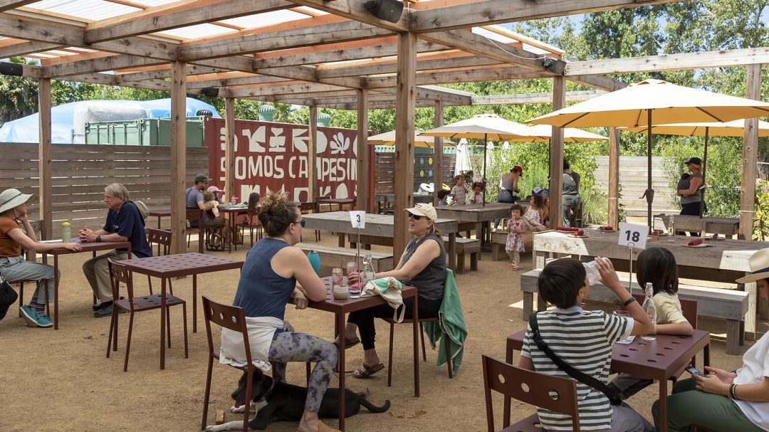 Cafe in The Farm 1 cafe in the farm