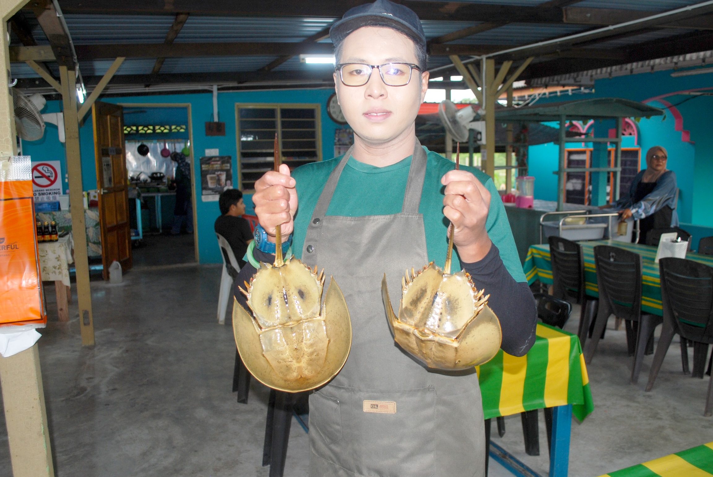 Citarasa Belangkas 1 citarasa belangkas