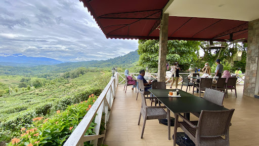 Ladang Teh Sabah