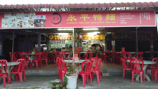 Yong Peng Duck Noodle