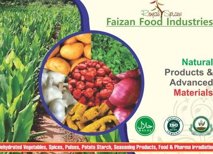 faizan food